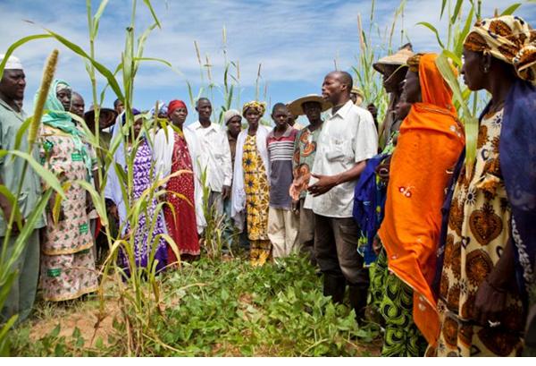Credit: Lucas Cuervo Moura (2012) Villagers in the field