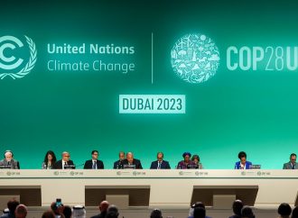 The UNFCCC and Beyond: Transnational Climate Change Governance