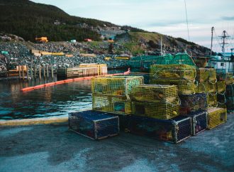 Is Newfoundland Putting CETA At Risk?