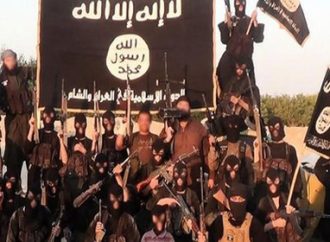 Last Year’s CIPS Blog Highlights, Part 2: New Global Threats