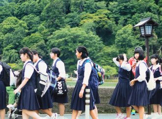 Low-Fee Private Schools and Development: What Do We Really Know?