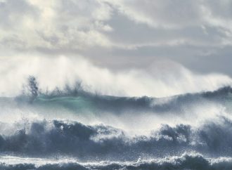 The Verdict Is In: TPP Threatens the Well-Being of Canadians