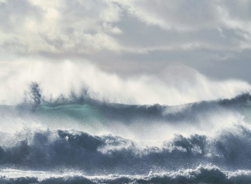 The Verdict Is In: TPP Threatens the Well-Being of Canadians