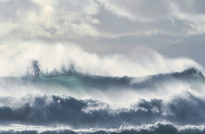 The Verdict Is In: TPP Threatens the Well-Being of Canadians