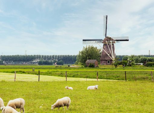 Thinking About Strategic Posture Options: Dutch Lessons for Canada?