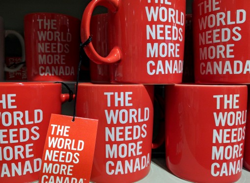 Daniel Livermore – Centre for International Policy Studies