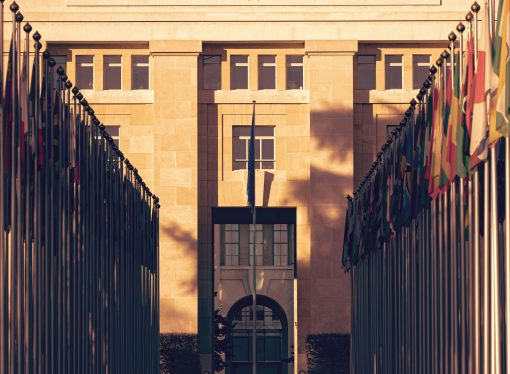 Another One Bites the Dust: What Future for the UN High Commissioner for Human Rights?