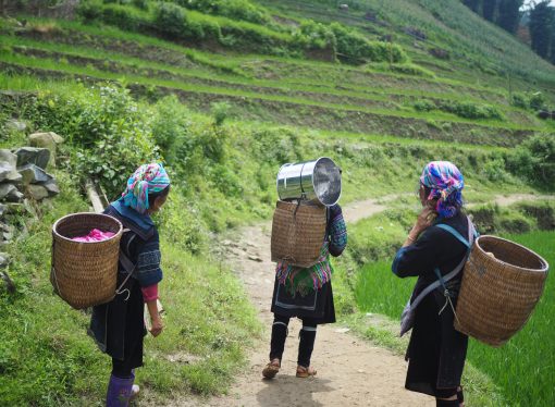 Canada’s Feminist International Assistance: Can Bad Policy be Well Implemented? (Part 1)