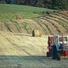 Sectoral Free Trade with China: Harder than it Looks