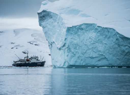 Sovereignty Served Cold