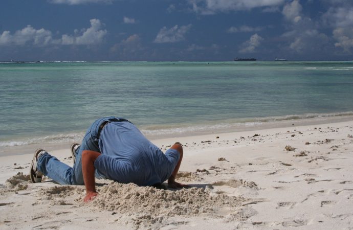 A beginner’s guide to economic ignorance