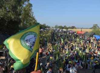 What was Behind the Indian Farmers’ Protests?