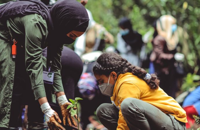 Making Money Out of Thin Air? Or Should We Axe the Voluntary Carbon Market?