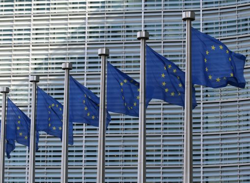 How Far to the Right Will EU Voters Go?