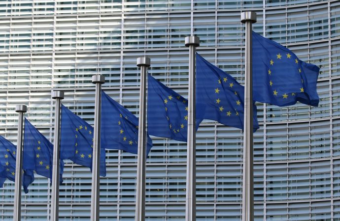 How Far to the Right Will EU Voters Go?