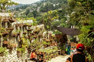 La transition compliquée en Haïti. Quelles options pour le Canada ?