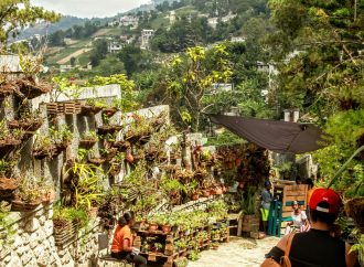 La transition compliquée en Haïti. Quelles options pour le Canada ?