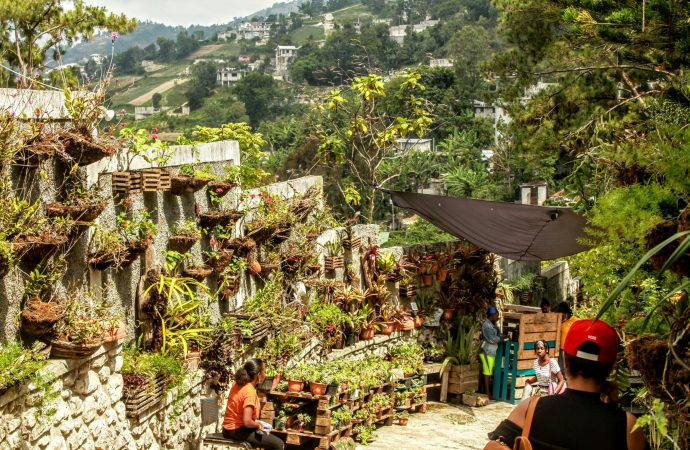 La transition compliquée en Haïti. Quelles options pour le Canada ?