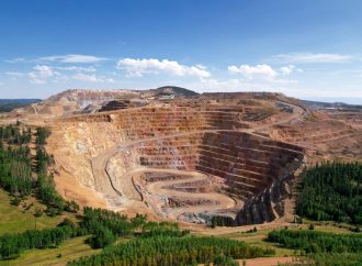 Trump, Africa, Critical Minerals and the Global Order