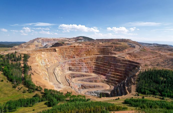 Trump, Africa, Critical Minerals and the Global Order