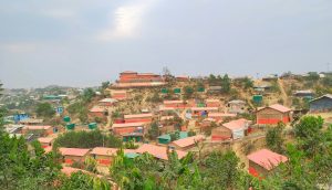 The Rohingya, Made Expendable?